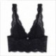 Bralette imbottita in pizzo floreale Emporio Armani